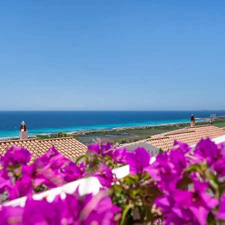 Suites Bella Vistas Appartement